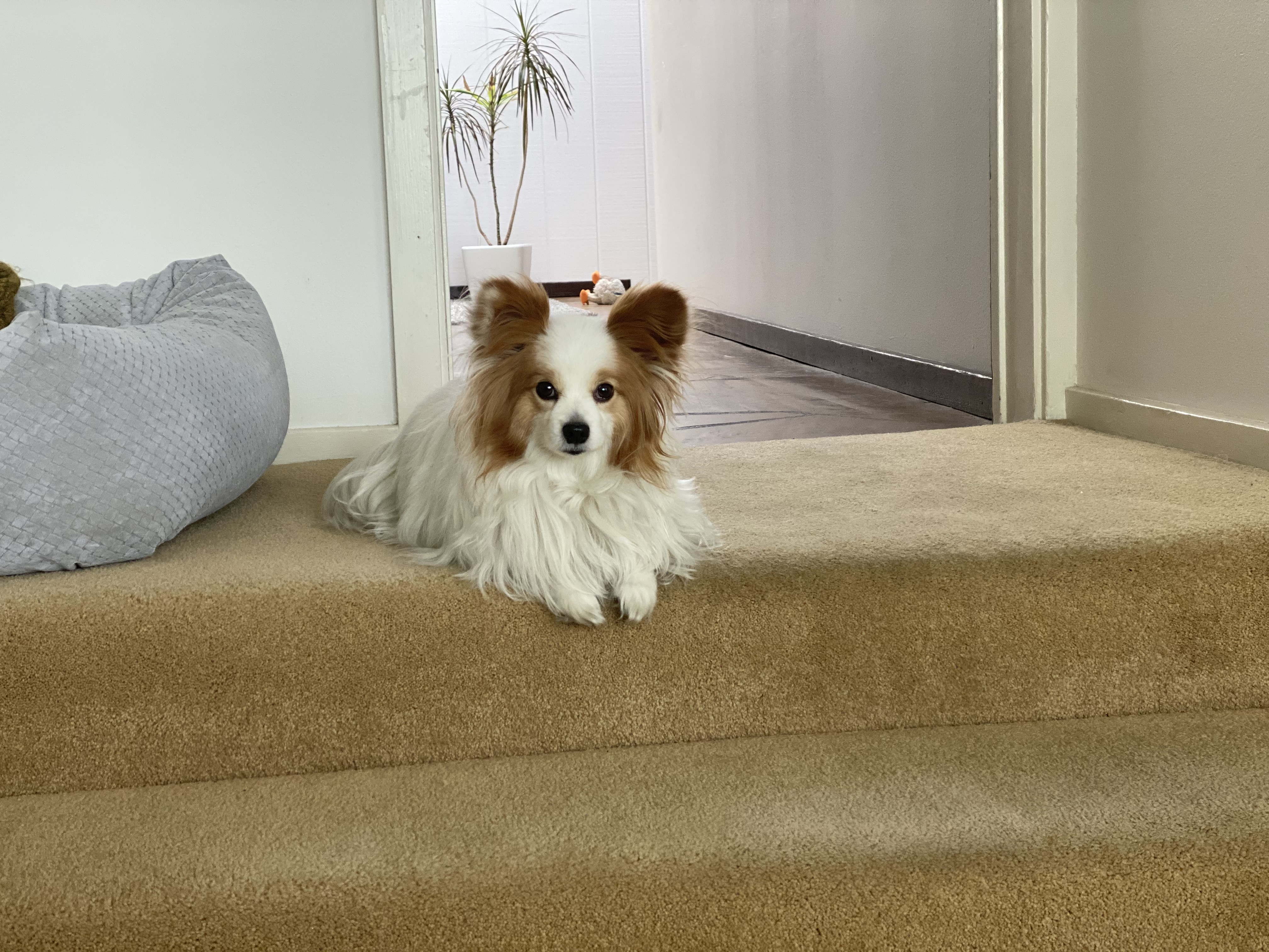 58D2183E-120F-4549-8FF8-969A51E0C5EB