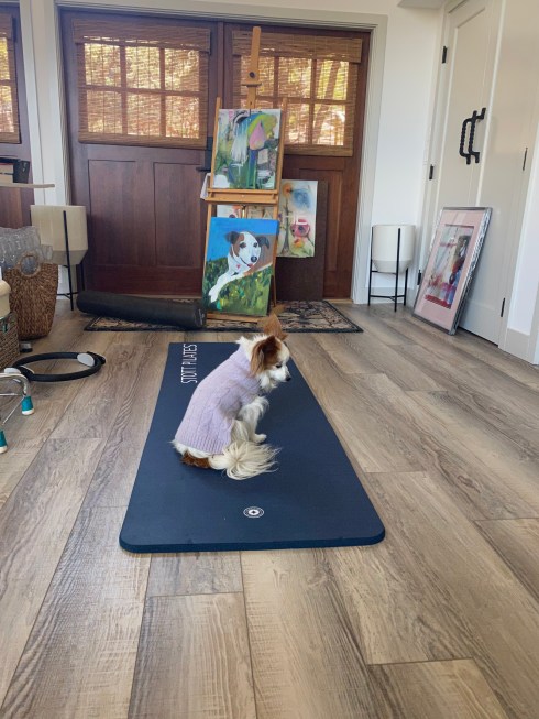 C3D282EA-69F4-41F7-8311-FEE36B15BC5E